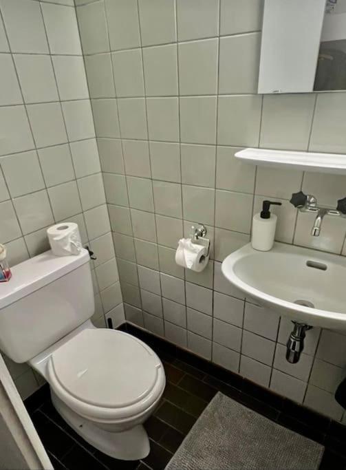 Appartement 7,0 Pieces 3 Chambres Proximite Aeroport Genève Eksteriør billede
