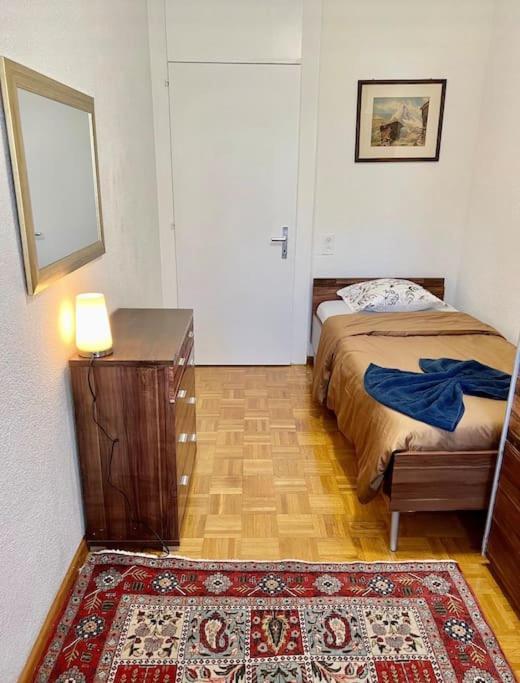 Appartement 7,0 Pieces 3 Chambres Proximite Aeroport Genève Eksteriør billede