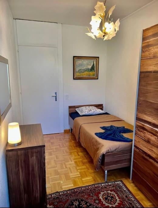 Appartement 7,0 Pieces 3 Chambres Proximite Aeroport Genève Eksteriør billede